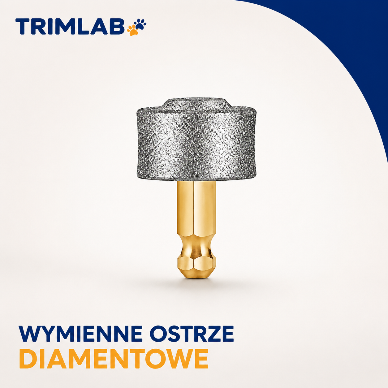 Wymienne ostrze diamentowe